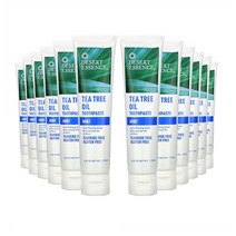 Desert Essence Tea Tree Oil Toothpaste Mint 데저트에센스 내츄럴 티 트리 오일 치약 민트 176g(6.25oz) 12팩 펄이지엥