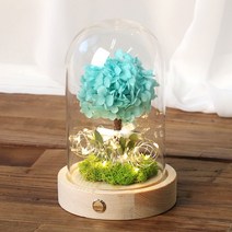 드라이플라워 수국 유리돔 프리저브드 꽃선물 LED 무드등, 프리저브드수국 비비드스카이