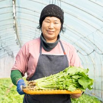 열무 2kg 4kg 포천 열무 나물 얼갈이 세트, 열무 4kg