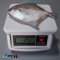 손질 여수병어 250g 이상 / 26cm 3마리 100%국내산 와사비 믹스 간장 증정, 3개