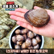 남해안 피조개 피꼬막 피조개회 조개 구이 찜 탕, 4kg, 1개