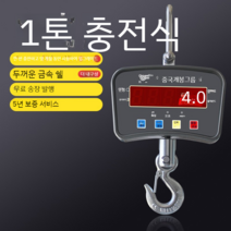 매달림저울 산업용 크레인 호이스트 2톤 전자저울, 1톤