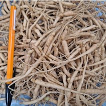 1년근 묘삼 파지 1차(750g) 800~900종 수경 or 토경 재배용 새싹쌈 새싹용 모종 수경재배 인삼키우기 무농약인증 새싹인삼