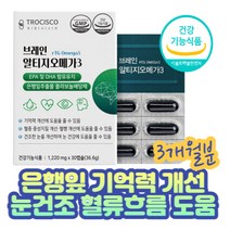 중년 직장인 혈행흐름 기억력 개선 은행잎 RTG오메가3 불순물 클린 EPADHA 홍삼 플라보놀배당체 회사원 여성 남성 혈중 중성지방 혈류 흐름 원활 개선 휴대폰 눈 건조 하루 한알