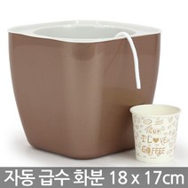 인테리어 자동급수 플분(1P) - 화분 예쁜화분 인테리어화분 저면관수 플라스틱화분 거실화분 사무실화분 책상화분 테이블화분, 03_Sein_자동급수(G1)_샴페인(대)