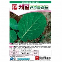 (케일종자씨앗) 만추콜라드(10g)