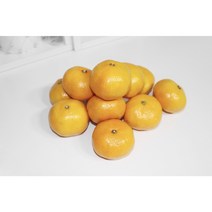 (산지직송)제주삼대농장 친환경 무농약 감귤 노지 타이벡 3kg 5kg 10kg, 노지 감귤, 10kg(S+M+L)혼합