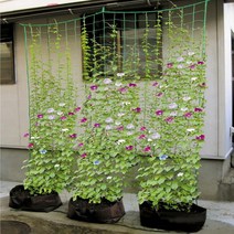그물망 그물네트 호박 작물 넝쿨식물 재배망 3.6x1.8M, 1개