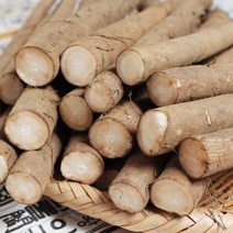 [푸르젠] 3대 전통 안동 우엉 (알뜰~가공품), 1개, 4kg (상품)