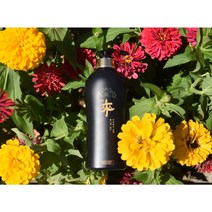 특허 받은 천연 생약 더나래 한방 샴푸 500ml 파라벤x 인공색소x 식물성 계면활성제, 1개