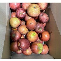경북 청송사과 홍로 부사 못난이 착즙 쥬스용 6kg