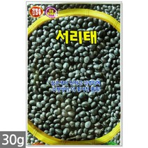 노나다 고추 15립 - 씨앗 씨 고추씨 고추씨앗 텃밭고추 빨간고추 주말농장 텃밭, 17_서리태콩(30g)