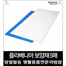 계단 엘리베이터 시공 공사 보강재 플라베니아 시트 매트 인테리어리모델링, 플라베니아 보양재 블루 5개