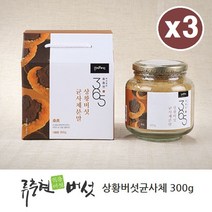 상황버섯균사체 가루 분말 목질진흙 상황 버섯 펠리누스 린테우스 뽕나무상황버섯 균사체 차 물 베타글루칸 효능 국내산, 3개