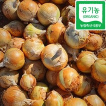 전라도 유기농 양파 5kg 10kg, 유기농양파_5kg, 1개