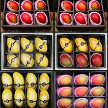 망고선물세트 2kg 3kg 4kg 애플망고 골드망고, 애플망고3과+태국망고3과 선물세트