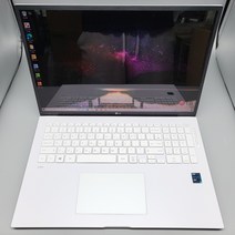 LG그램 17인치 17Z90P-GA76K 고사양 가벼운 중고 노트북, WIN10 Home, 16GB, 512GB, 코어i7, 화이트