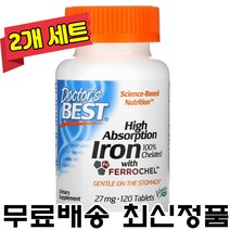닥터스베스트 철분 철분제 Ferrochel 27mg 120정 Iron X 2팩