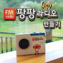 팡팡 FM 라디오 만들기, 본상품