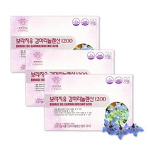 식약처인증 달맞이꽃기름 보라지오일 달마지꽃 3개월 혈중 콜라스테롤 혈행 월경전 불편한 상태 개선 면역과민반응 피부상태 개선 보라지종자유 중년여성 부모님 여자친구 선물