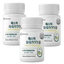 매스틱 검 나무 파워 600 트로시스코 그리스산 효소 히알루론산 양배추 감초 브로콜리 추출 혼합 분말 유산균 정, 3통, 60정