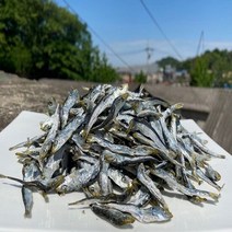 [명화씨푸드] 볶음 조림 고추장 솔치(청어새끼) 1.5kg, 단품