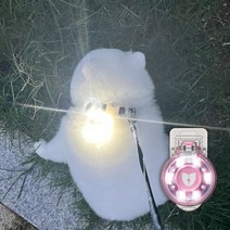 나이트가디언 P미니 반려견 야간 산책 LED 목걸이 클립형 USB 충전식 펜던 방수 후레쉬, 원형(옐로우)-1개