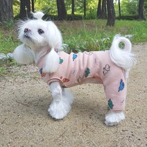 해피보이스 올인원 다이너소어 강아지옷, 그린