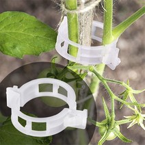 재사용 가능한 25mm 플라스틱 식물 지지대 클램프 덩굴 정원 온실 야채 토마토 클립 50/100 개, [02] 100PCS