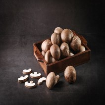 송이버섯 송화 버섯 1등급 1kg 선물 참송화 상품 송이 표고 참송이 반찬 고송 송고 새송이 어버이날 귀한분 고급 향 냄새 가격 종류 파는곳 쇼, 1개