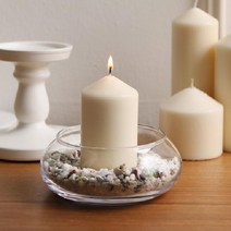 869황진 수경식물 수반 유리 화분 테리리움 원형 유리볼 틸란드시아 구피