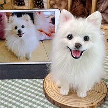 주문 제작 양모 펠트 고양이 강아지 인형 토끼 애완 동물 반려견 피규어 전신 솜, 한개옵션1, 유리 커버 세트