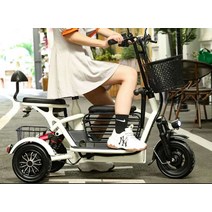3륜바이크 세바퀴 전동차 세발 다인승 3발 이륜차, 단일 드라이브리튬 배터리 12A 50km