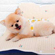 해피앤퍼피 강아지옷 오가닉 실내복 조끼 잠옷 내복 노령견옷 커플룩 애견옷 봄 여름 가을 겨울 XS-3XL, 잇츠레몬끈나시