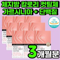 여자 다이어트 단기간 식후 보조제 3일 남자 유지 분말 겨울 보조제 내장지방 탄수화물 억제 컷팅제 추천 두달 체중 관리 체지방 칼로리 컷팅 복부 살뺴기 HCA 나잇살 빼기 관리