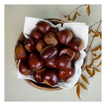 국내산 옥광밤 1kg/대