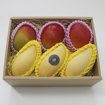 특별한선물 당일발송 과일세트 프리미엄 애플망고 망고 혼합 선물세트 항공직송 고당도 스윗망고