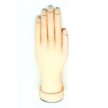 크리스챤바바라 네일 국가고시 실기 시험 연습용인조손, 1개, 왼손