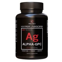 알파 gpc 콜린 보충제 600mg 아세틸콜린 보충제 알파 gpc 300mg 뇌 고급 메모리 포뮬러 120정