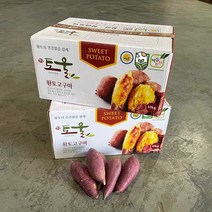 토울고구마 꿀고구마 베니하루까 고구마, 토울10kg(왕)