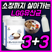 람노서스 락토바실러스 유산균 LGG 엘지지 rgg 패밀리 페밀리 온가족 키즈 유아 베이비 우먼 여성 임산부 직장인 장까지 살아가는 유생균 30대 40대 50대 가루 파우더 분말, 230gx6통