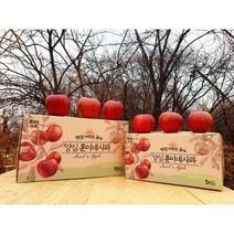 [달농]햇 부사 사과 경북 가정용 흠집 꿀사과, 부사사과 5kg 한입과(27-36과내외)