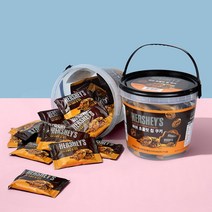 허쉬 허쉬 초콜릿칩 쿠키 400g (통), 단일옵션