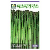 눈개승마 1g - 씨 씨앗 눈개승마씨 눈개승마씨앗 나물 나물씨앗 채소씨 채소씨앗 능개승마, 07_다농_아스파라거스(200립)