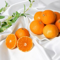 [초록자연] EM농법 서귀포 황금향 10kg 대과 제주감귤, 상세 참조