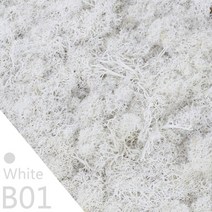 20g 40g 품질 인공 이끼 불멸의 이끼 시뮬레이션 녹색 식물 잔디 홈 장식 벽 diy 마이크로 조경 액세서리, b01