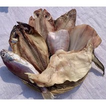 반건조생선 포항참가자미 미주구리 열기 백조기 임연수 죽도시장 한끼뚝딱, 미주구리,기름가자미10미~11미 (1k이상~), 1개