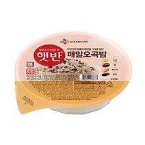 CJ 햇반 매일오곡밥 210G x 24개
