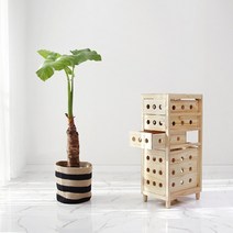 야채 정리함 소품 주방수납