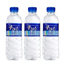 빠른배송 일화 광천수 생수 500ml 20PET 페트 물 음료수 초정수 사무실 탕비실 업소용, 일화-광천수2리터(6페트)